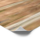 Twee kleurrijke mannelijke hout Eenden zwemmen in  Poster (Hoek)