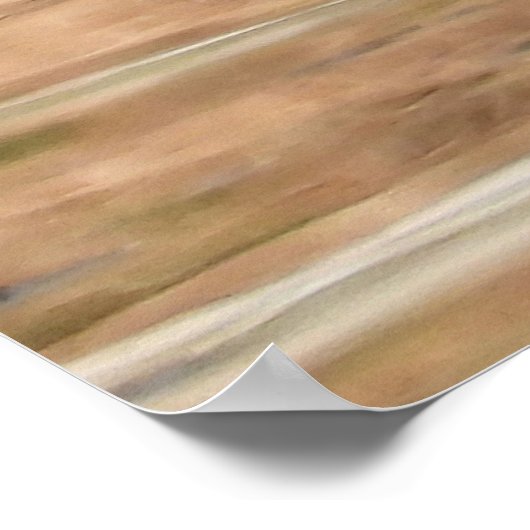 Twee kleurrijke mannelijke hout Eenden zwemmen in  Poster (Hoek)