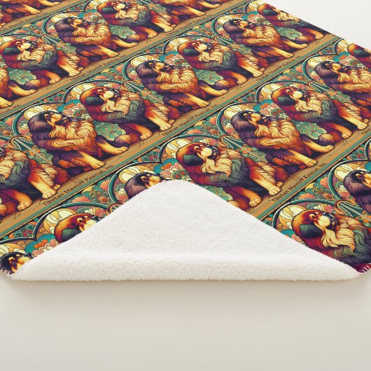 Twee kleurrijke TM's deken (3/4)