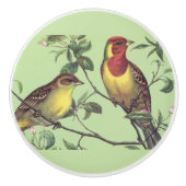 Twee kleurrijke vogels keramische knop (Voorkant)