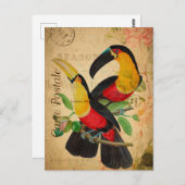  twee kleurrijke vogelsoorten, Frans Briefkaart (Voorkant / Achterkant)