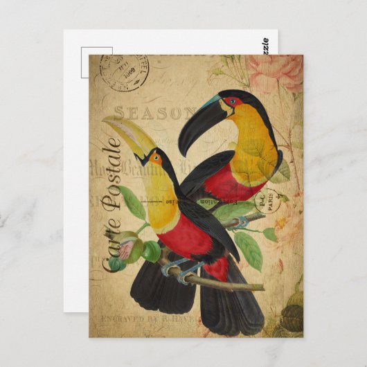  twee kleurrijke vogelsoorten, Frans Briefkaart (Voorkant / Achterkant)