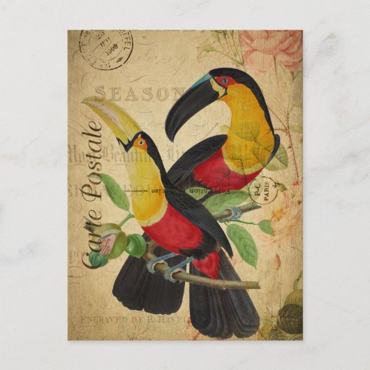  twee kleurrijke vogelsoorten, Frans Briefkaart (Voorkant)