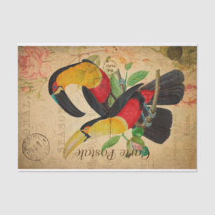  twee kleurrijke vogelsoorten, Frans Tissuepapier