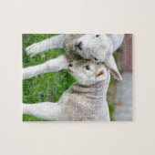 Twee knuffelende en liefhebbende witte lammeren legpuzzel (Horizontaal)