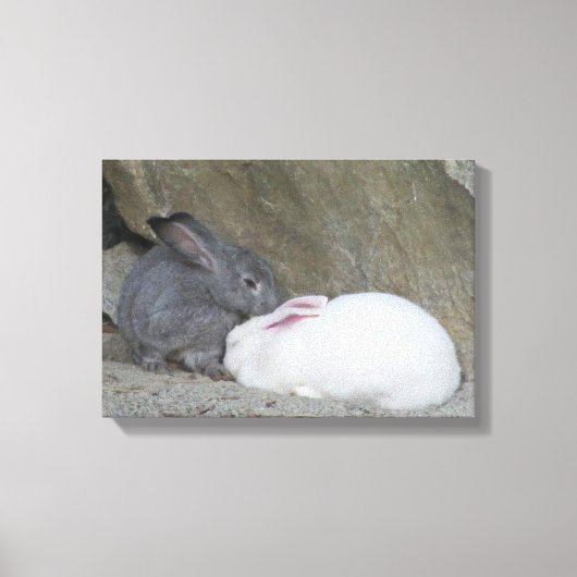 Twee knuffelkonijnen canvas afdruk (Voorkant)