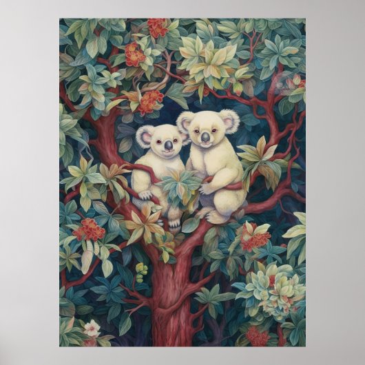 Twee koala's in een gomboom poster (Voorkant)