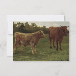 Twee koeien die in een veld staan (door Rosa Bonhe Kaart