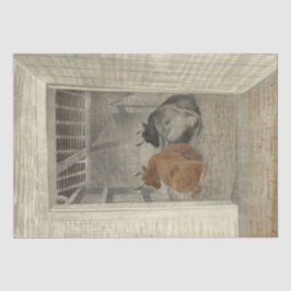 Twee Koeien in een stal (door Eric Ravilious) Tissuepapier