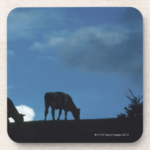 Twee koeien in silhouette grazing op de heuvel bier onderzetter