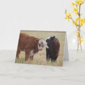 Twee Koeien Nuzzling Kaart (Gele Bloem)
