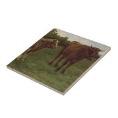 Twee Koeien Staand in een Veld (door Rosa Bonheur) Tegeltje (Zijkant)
