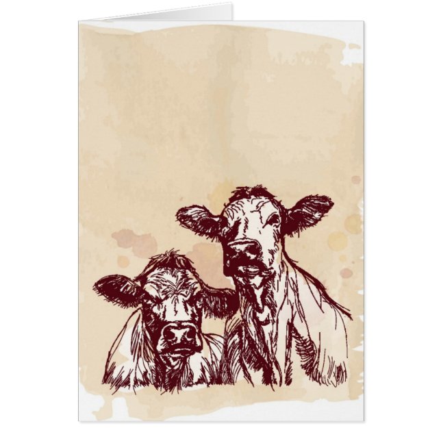 Twee koeien trekken schets en waterverf vintage (Voorkant)