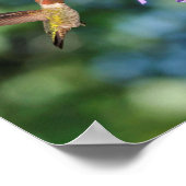 Twee koetsvogels in vlucht met bloemen poster (Hoek)