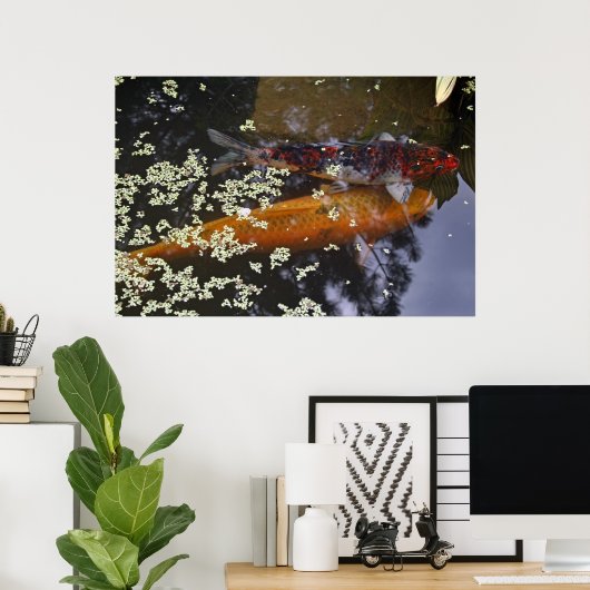 Twee Koi in Pond Poster (Thuiskantoor)