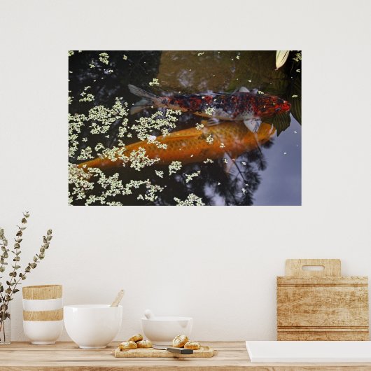 Twee Koi in Pond Poster (Keuken)