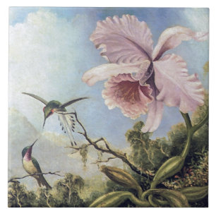 Twee kolibries en een orchidee tegeltje