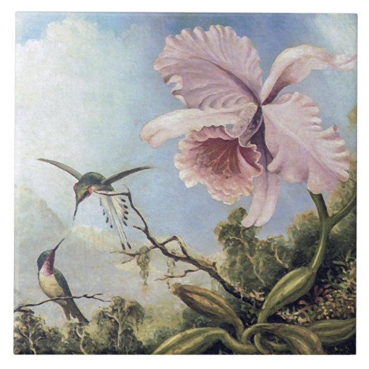 Twee kolibries en een orchidee tegeltje (Voorkant)