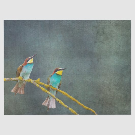 Twee kolibries kijken naar decoupage tissuepapier (Voorkant)