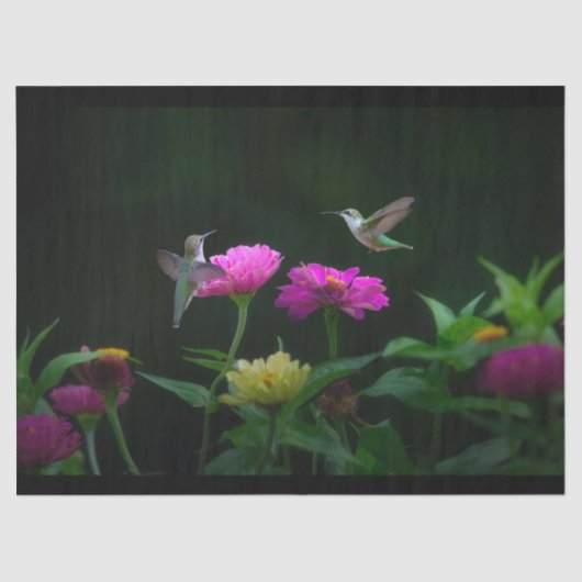 Twee kolibries weefsel papier (Voorkant)