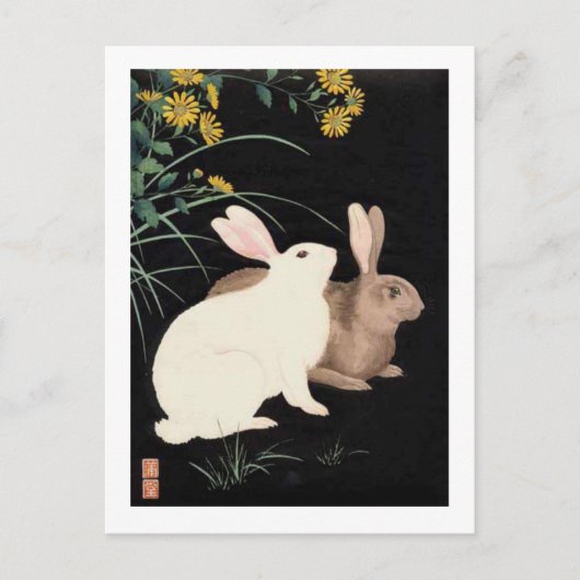 Twee konijnen bij nacht briefkaart (Voorkant)