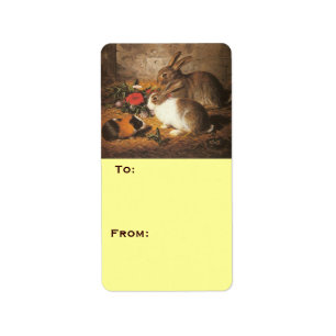 Twee konijnen en een cavia etiket
