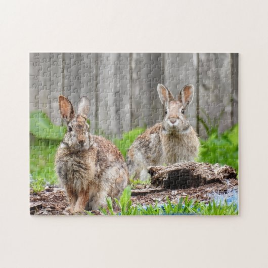 Twee konijnen legpuzzel (Horizontaal)