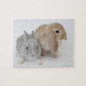 Twee konijnen. Nederland Dwarf en Holland Lop. Legpuzzel (Horizontaal)