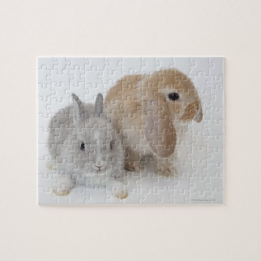 Twee konijnen. Nederland Dwarf en Holland Lop. Legpuzzel (Horizontaal)
