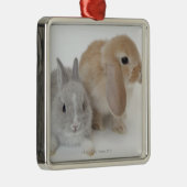 Twee konijnen. Nederland Dwarf en Holland Lop. Metalen Ornament (Rechts)