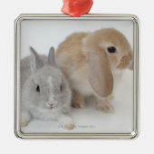 Twee konijnen. Nederland Dwarf en Holland Lop. Metalen Ornament (Voorkant)