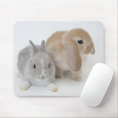 Twee konijnen. Nederland Dwarf en Holland Lop. Muismat (Met muis)