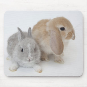 Twee konijnen. Nederland Dwarf en Holland Lop. Muismat