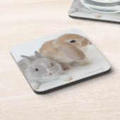 Twee konijnen. Nederland Dwarf en Holland Lop. Onderzetter (Linkerzijde)