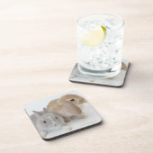 Twee konijnen. Nederland Dwarf en Holland Lop. Onderzetter (Rechterzijde)