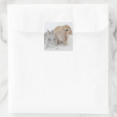 Twee konijnen. Nederland Dwarf en Holland Lop. Vierkante Sticker (Tas)