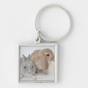 Twee konijnen Nederland Dwarf & Holland Lop Sleutelhanger