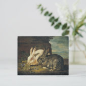 Twee konijnen van David de Coninck Briefkaart (Staand voorkant)