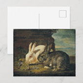 Twee konijnen van David de Coninck Briefkaart (Voorkant / Achterkant)
