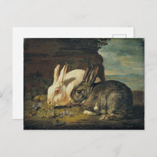 Twee konijnen van David de Coninck Briefkaart (Voorkant / Achterkant)