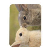 Twee konijntjes kussen rechthoek magneet (Verticaal)