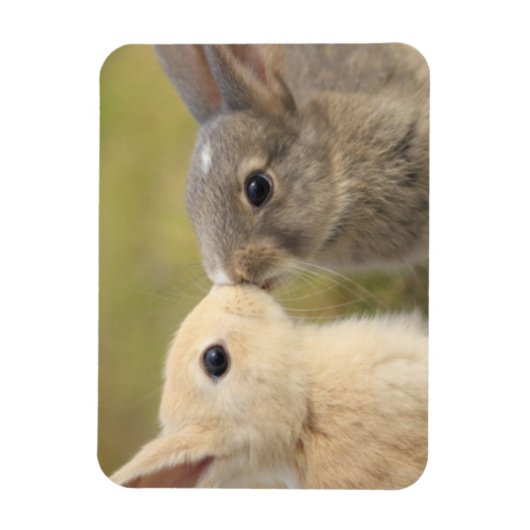 Twee konijntjes kussen rechthoek magneet (Verticaal)