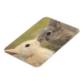 Twee konijntjes kussen rechthoek magneet (Linkerzijde)