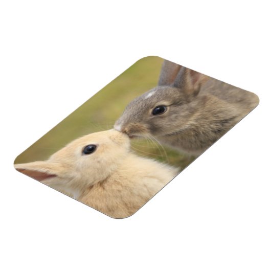 Twee konijntjes kussen rechthoek magneet (Linkerzijde)