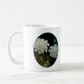 Twee Koningin Anne's Lace Koffiemok (Links)
