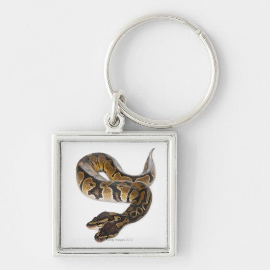 Twee kopende Koninklijke Python of Ball Python - P Sleutelhanger (Voorkant)