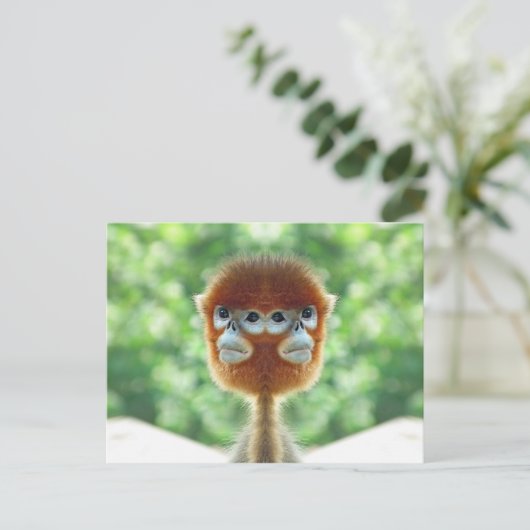 Twee koppen Baby Monkey Briefkaart (Staand voorkant)