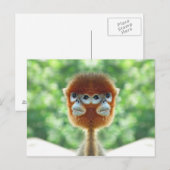 Twee koppen Baby Monkey Briefkaart (Voorkant / Achterkant)