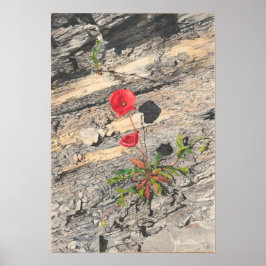 Twee kreukjes poster