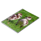 Twee kuikens van Egyptische ganzen Notitieboek (Linkerzijde)